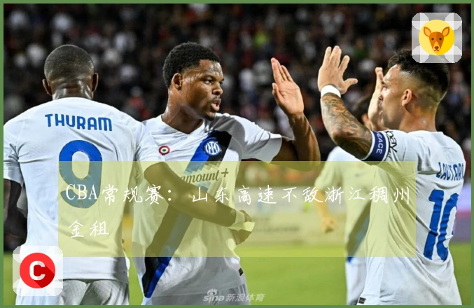 CBA常规赛：山东高速不敌浙江稠州金租