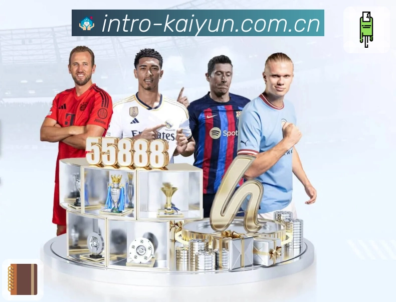 NG体育APP 高清赛事图